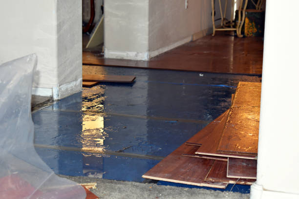 Professional Flood Cleanup technician working in Haines Falls, NY